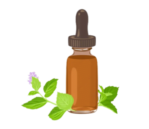Peppermint Oil