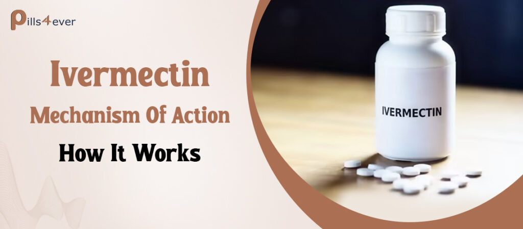 Ivermectin Mechanism Of Action How It Works